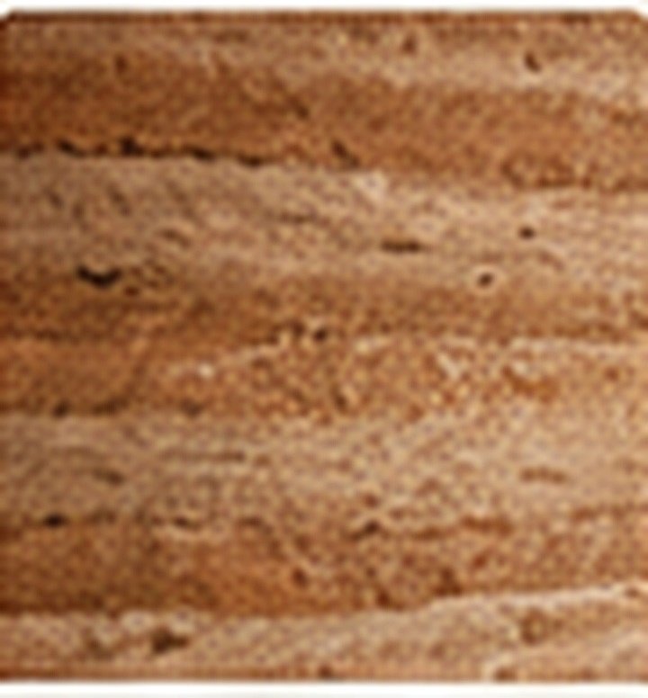 Rammed earth